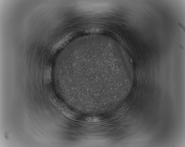 X0000100400735200806271420