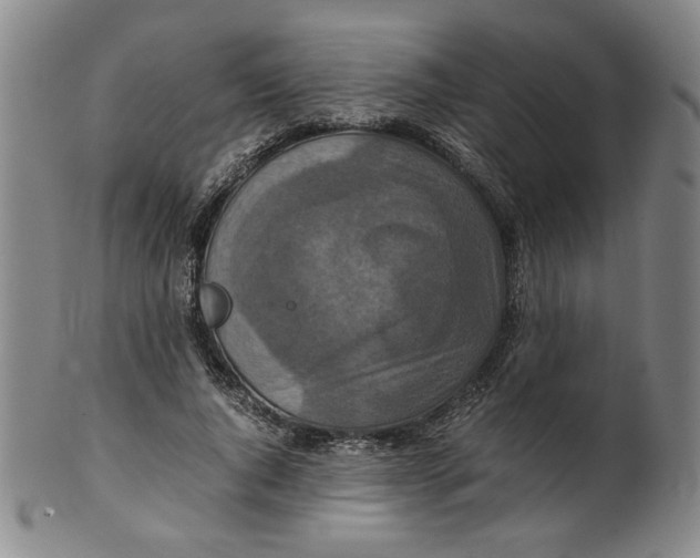 X0000100400736200806271420