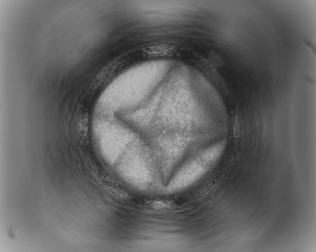 X0000100400737200806271420