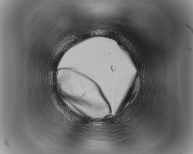 X0000100400738200806271420