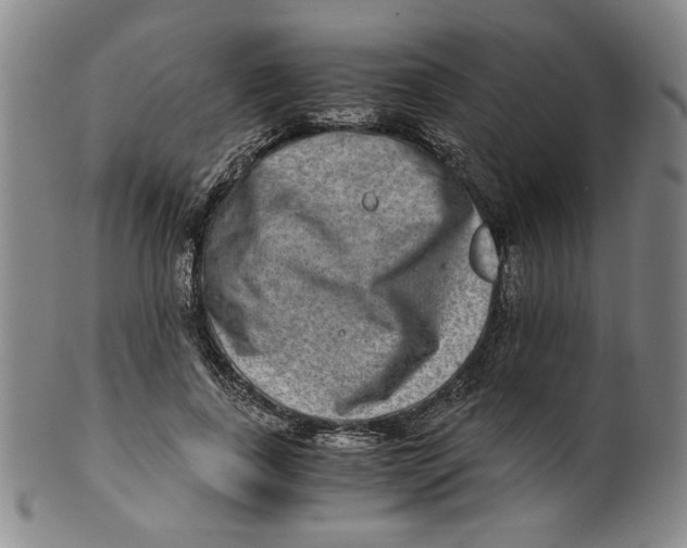 X0000100400739200806271420