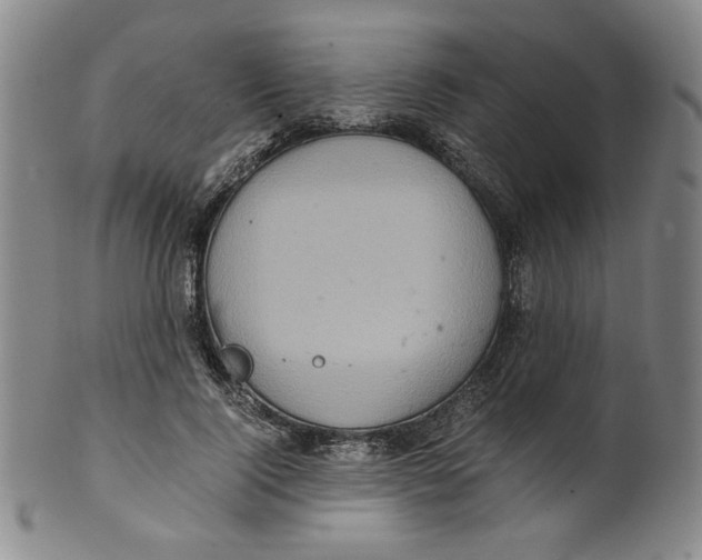 X0000100400740200806271420
