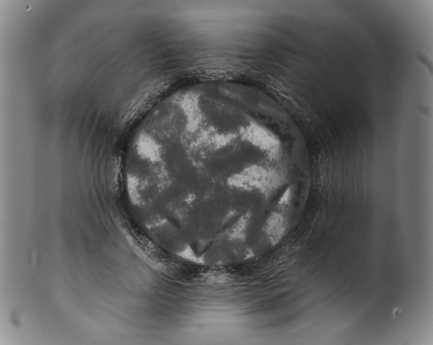 X0000100400742200806271420