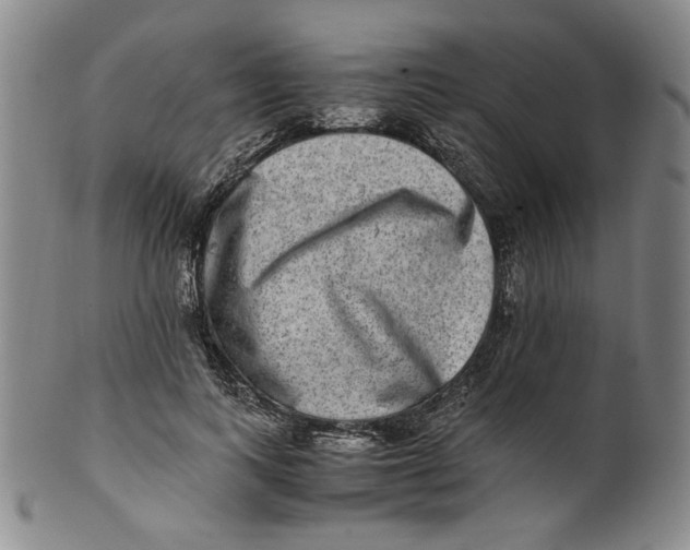 X0000100400743200806271420