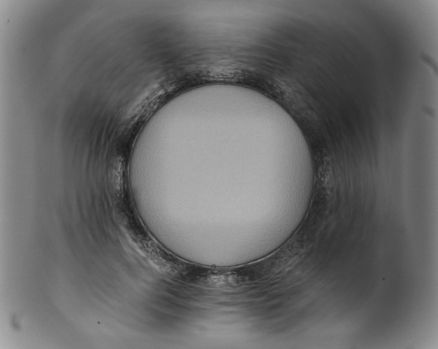 X0000100400744200806271420