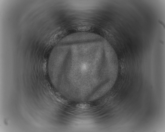 X0000100400745200806271420
