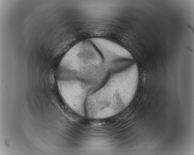 X0000100400746200806271420
