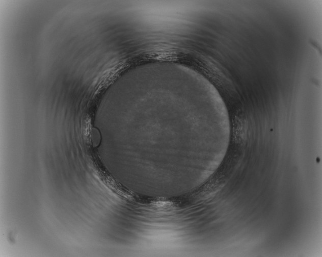 X0000100400748200806271420