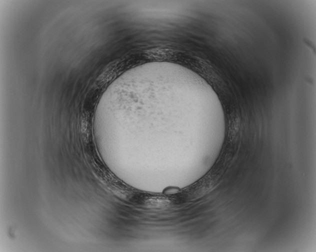 X0000100400749200806271420