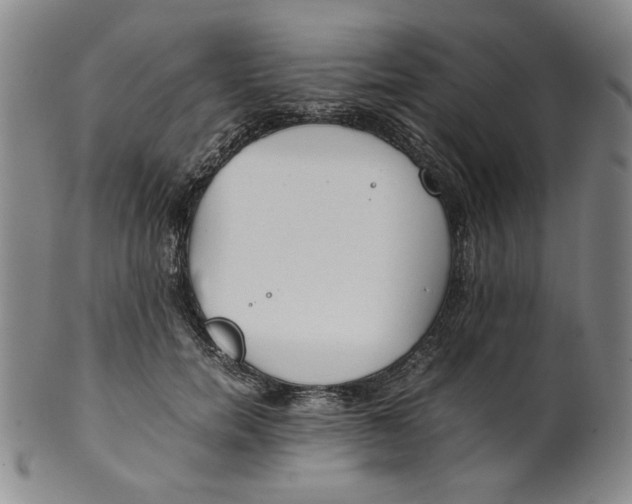X0000100400750200806271420