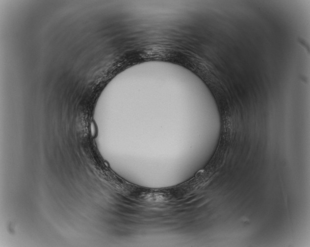 X0000100400751200806271420