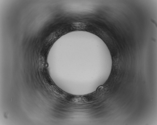 X0000100400752200806271420