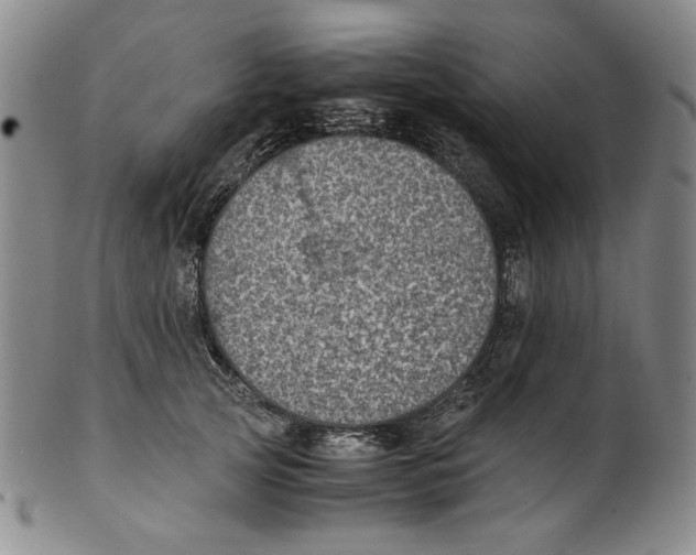X0000100400753200806271420