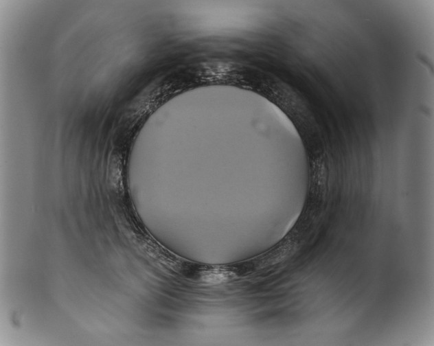 X0000100400754200806271420