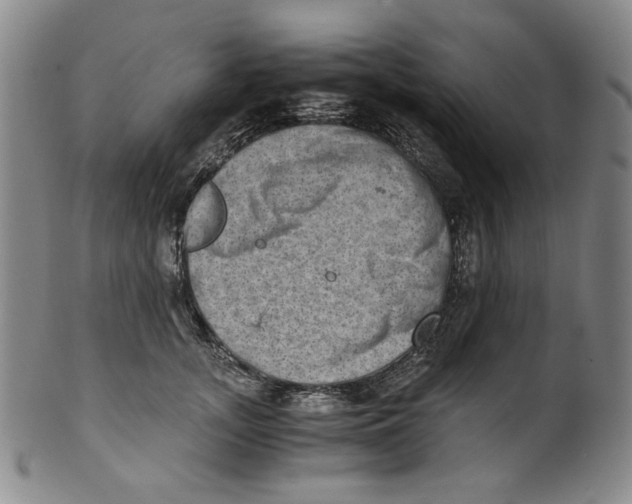 X0000100400755200806271420