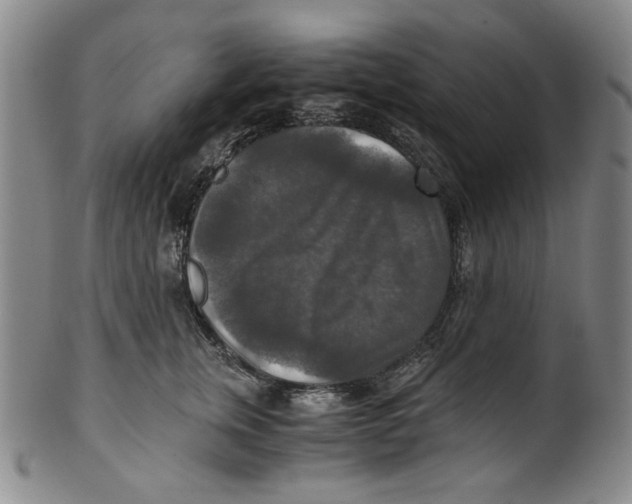 X0000100400759200806271420