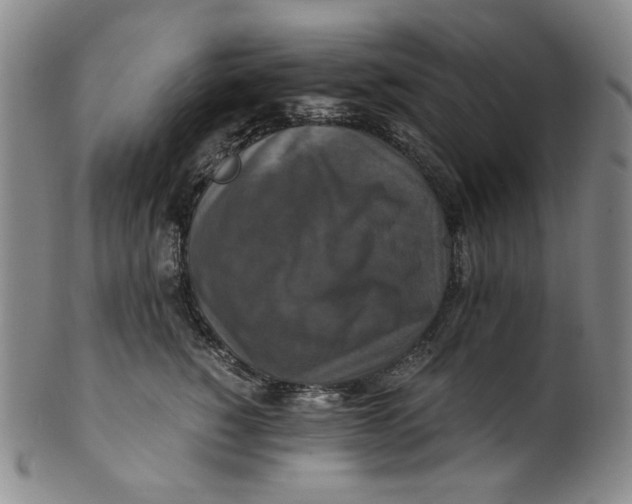 X0000100400760200806271420
