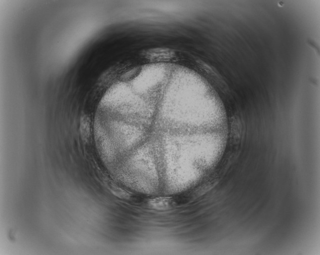 X0000100400761200806271420