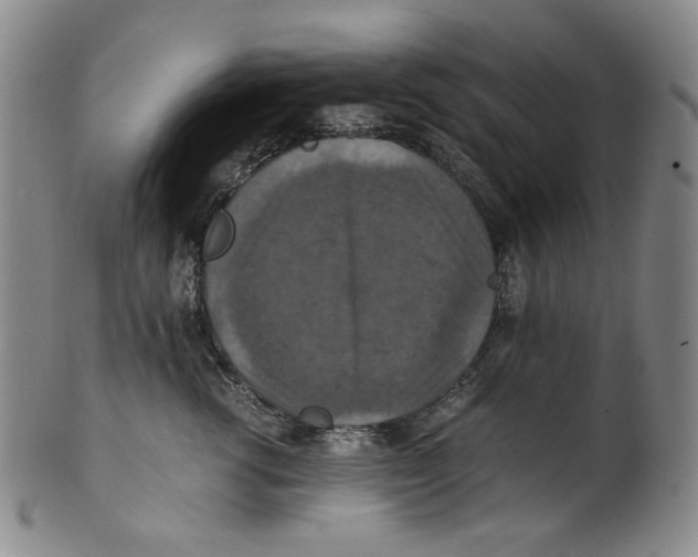 X0000100400762200806271420