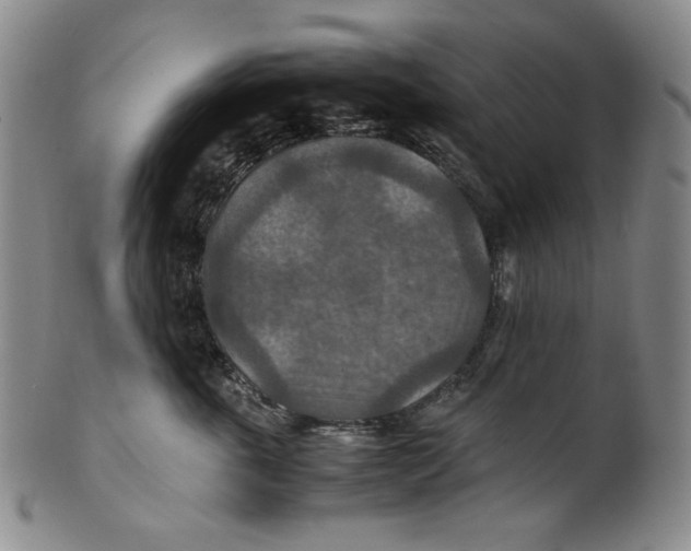 X0000100400763200806271420