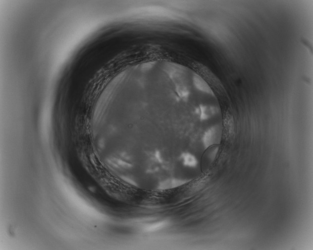 X0000100400765200806271420