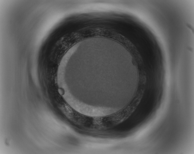 X0000100400766200806271420