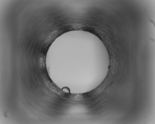 X0000100400768200806271420