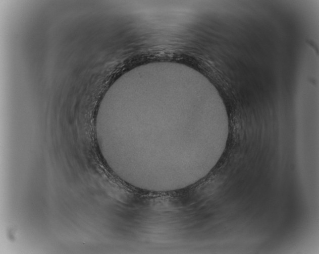 X0000100400769200806271420