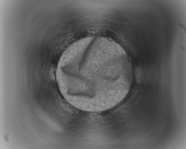 X0000100400770200806271420