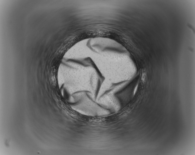 X0000100400771200806271420