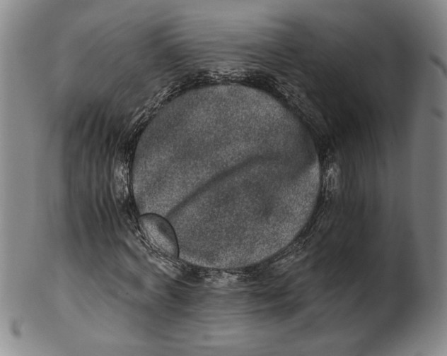 X0000100400772200806271420