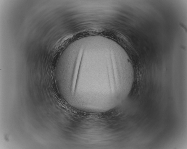 X0000100400773200806271420