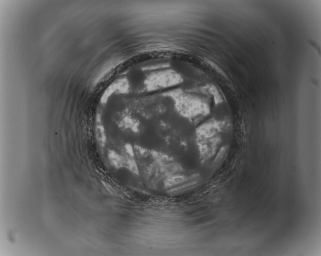 X0000100400775200806271420