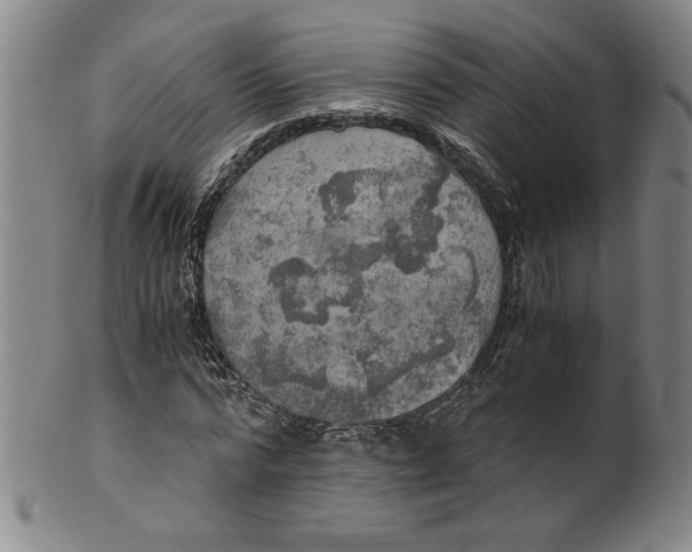 X0000100400776200806271420