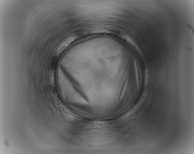 X0000100400777200806271420