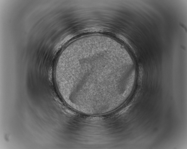 X0000100400778200806271420