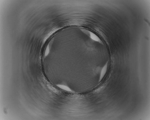 X0000100400779200806271419