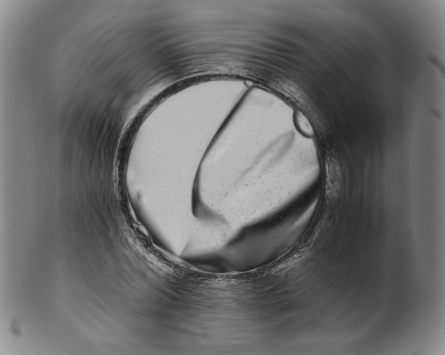 X0000100400780200806271419