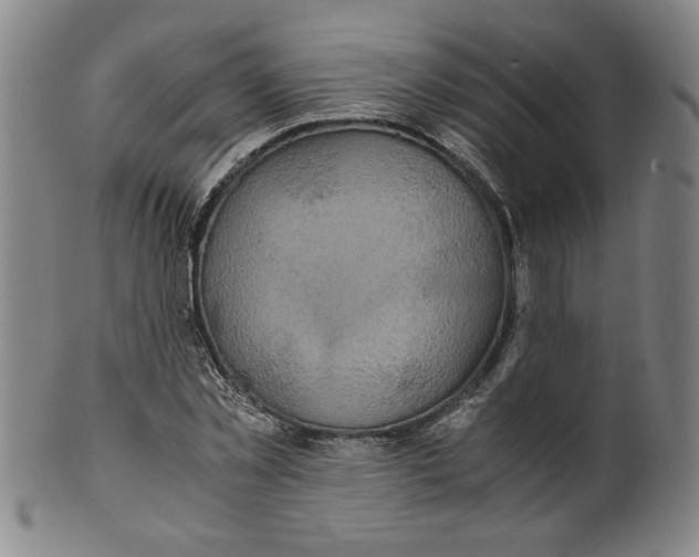 X0000100400781200806271419