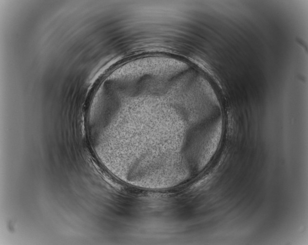 X0000100400782200806271419