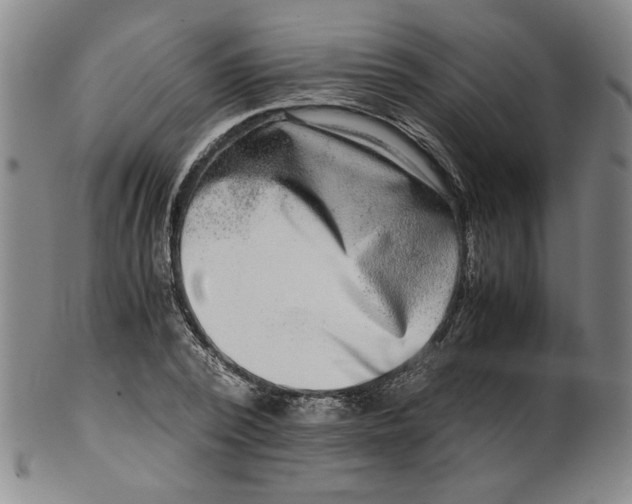 X0000100400784200806271419