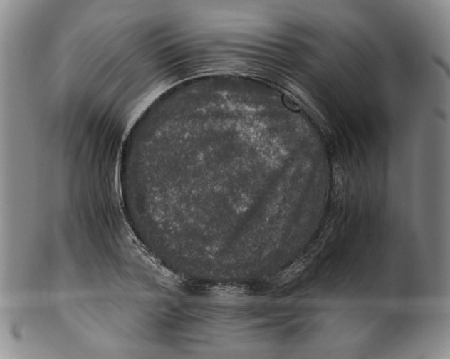 X0000100400788200806271419