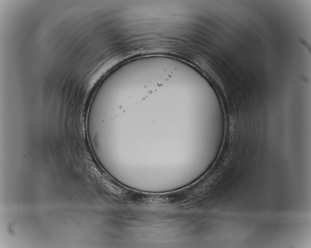 X0000100400789200806271419