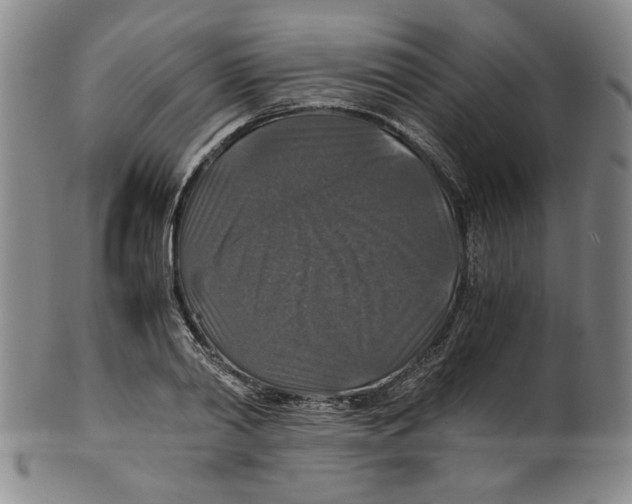X0000100400790200806271419