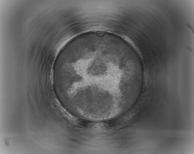 X0000100400791200806271419