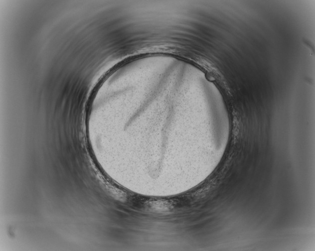 X0000100400792200806271419