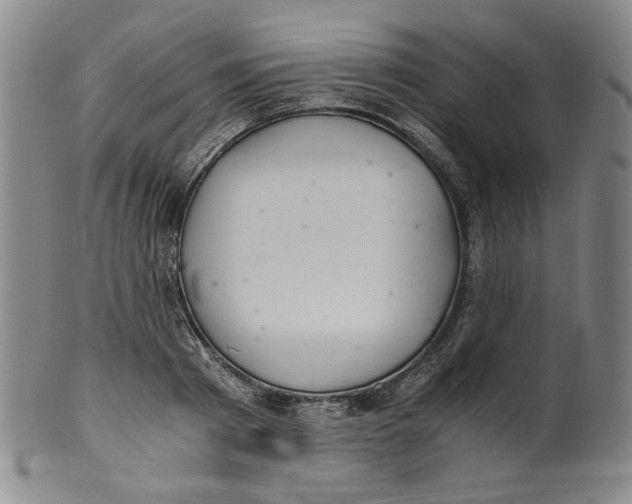 X0000100400793200806271419
