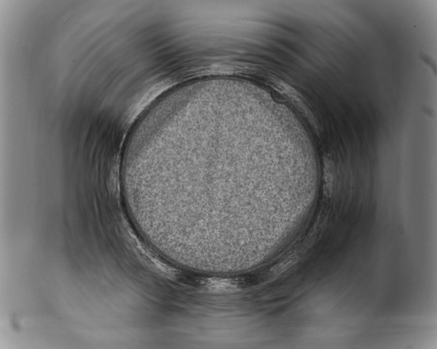 X0000100400794200806271419