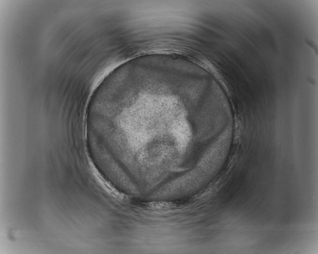 X0000100400795200806271419