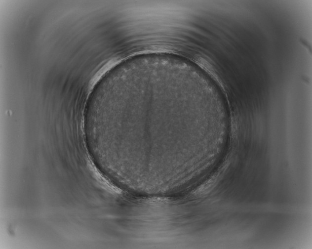 X0000100400797200806271419